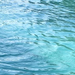 Meet your Posher, Daniela